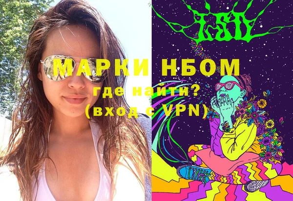 стафф Иннополис