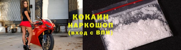 индика Зеленокумск