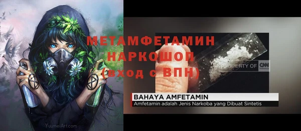 индика Зеленокумск