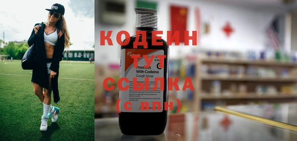 индика Зеленокумск