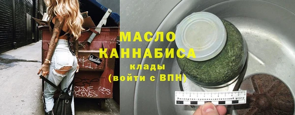индика Зеленокумск