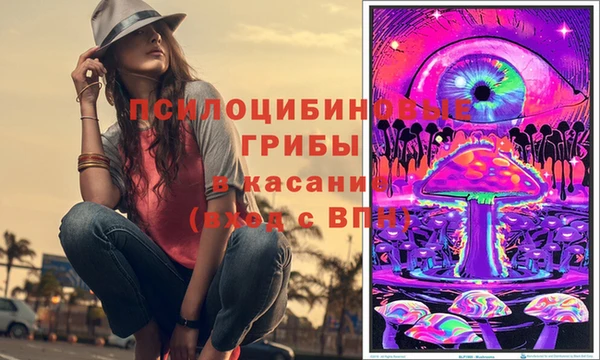 стафф Иннополис